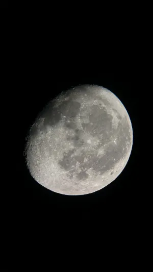 عدسة عمانية